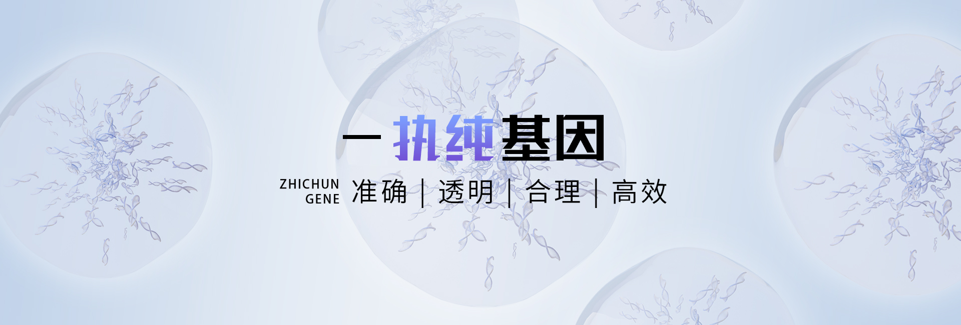首页轮播图2